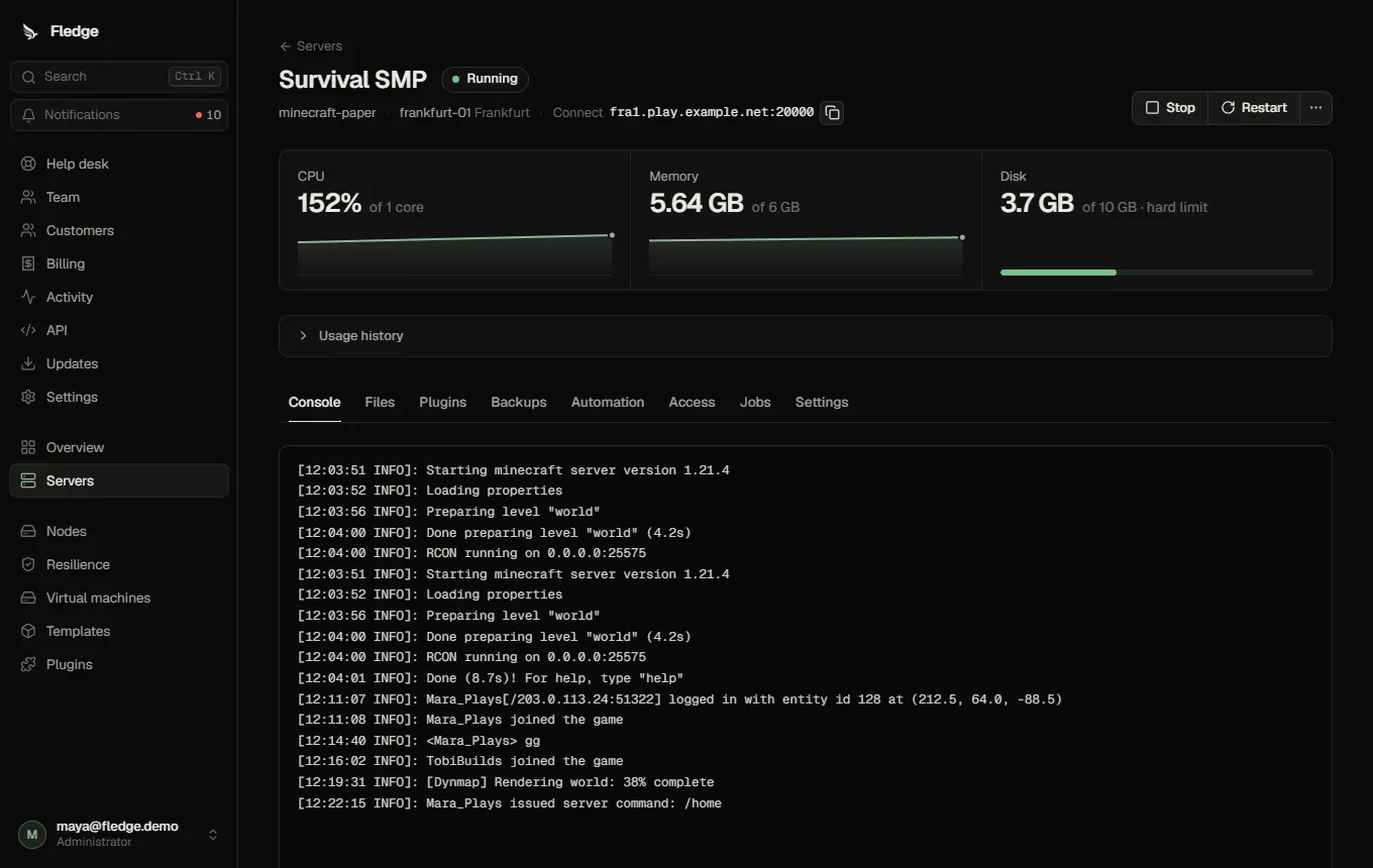 Server page with a live console and CPU, memory and disk gauges